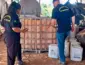 Operação do Ministério do Trabalho flagra falhas em silos no Norte de Mato Grosso e suspende atividades em fazenda