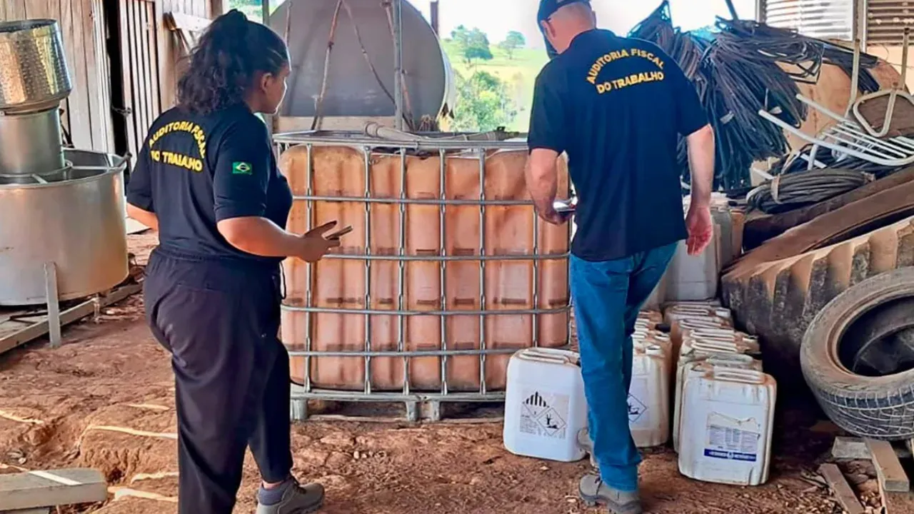 Operação do Ministério do Trabalho flagra falhas em silos no Norte de Mato Grosso e suspende atividades em fazenda