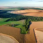 Tecnologias emergentes impulsionam pesquisa agropecuária e sustentabilidade no Cerrado