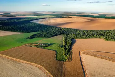 Tecnologias emergentes impulsionam pesquisa agropecuária e sustentabilidade no Cerrado
