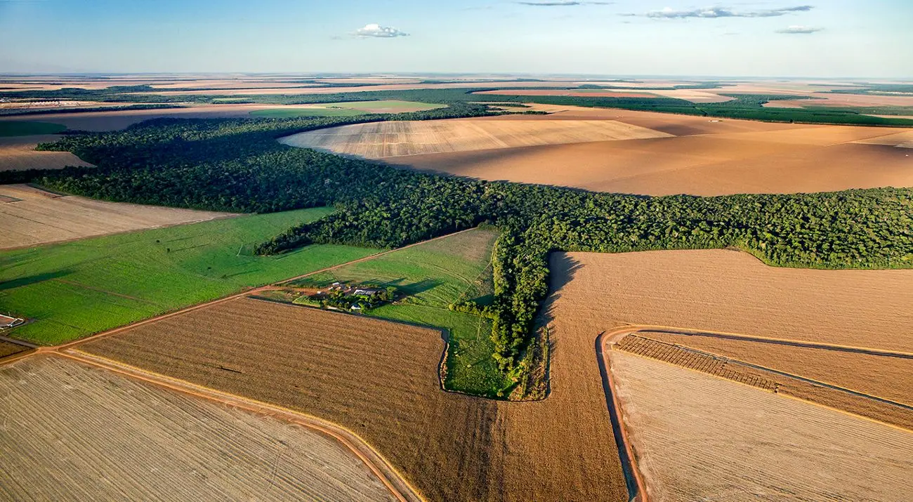 Tecnologias emergentes impulsionam pesquisa agropecuária e sustentabilidade no Cerrado