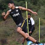Botafogo x Santos: onde assistir ao vivo e prováveis escalações pelo Brasileirão