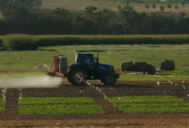 Fundação Rio Verde divulga pesquisa sobre manejo e intervalo de segurança de herbicidas na soja