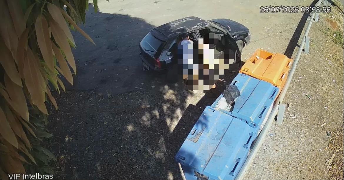 Homem é preso após abandonar filhotes às margens da MT-449 em Lucas do Rio Verde
