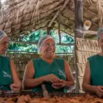 Biocosméticos impulsionam bioeconomia ribeirinha no oeste do Pará