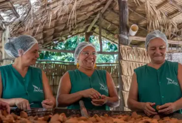 Biocosméticos impulsionam bioeconomia ribeirinha no oeste do Pará