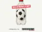 Refrigerante na Copa do Mundo gera campanha contra publicidade