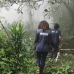 IBGE encerra inscrições para seleção com mais de 8 mil vagas nesta quinta-feira (9)