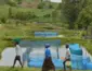 Flavobacterium é identificado pela primeira vez em peixes de criação no Brasil