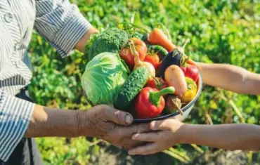 Agricultores familiares