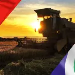 Mato Grosso vira referência internacional e inspira expansão agrícola na Colômbia