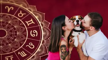 Amor signos