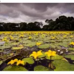 Proposta prevê regras para exploração comercial em áreas turísticas naturais de Mato Grosso