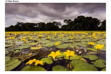 áreas turísticas naturais de Mato Grosso