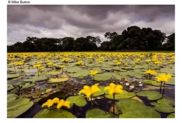 áreas turísticas naturais de Mato Grosso