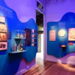 Exposição O Tempo das Plantas revela conexões entre chá e café