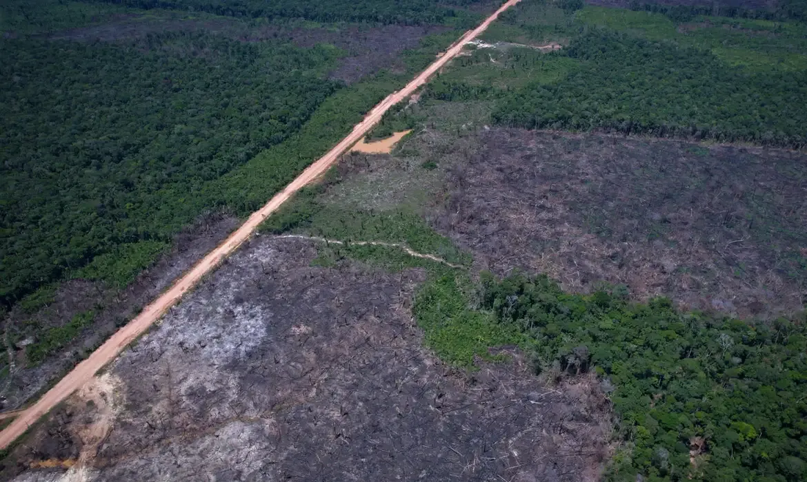 Eco Invest impulsiona quinto leilão para financiar inovação sustentável