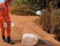 Bombeiros resgatam lagarto teiú em residência de Campo Verde