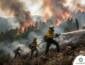 Força-tarefa com bombeiros, helicóptero e aeronaves combate incêndio florestal em APA próxima ao Morro São Jerônimo