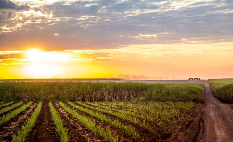 Mato Grosso no topo do calor nacional: entenda o raio-x das temperaturas e o impacto na safra
