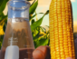 Mix E32: Elevação da mistura de etanol na gasolina impulsiona produção em Mato Grosso