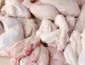 Produção de carne de frango deve bater novo recorde e exportações superar 6 milhões de toneladas até 2027