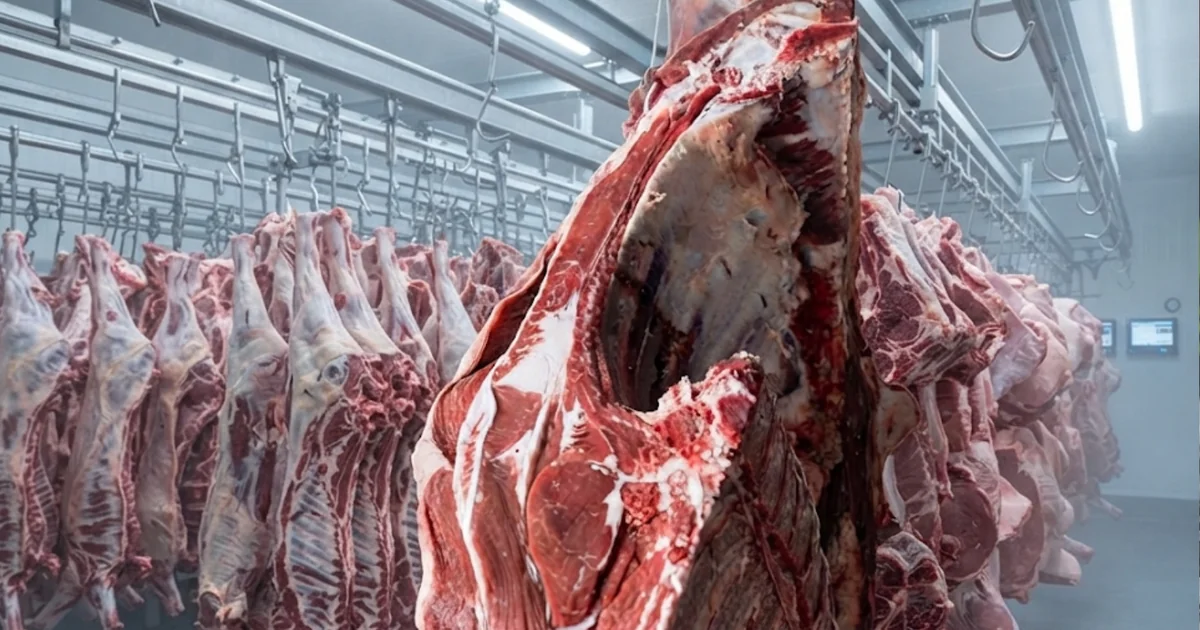 A geopolítica do prato: por que a nova regra da Europa para a carne brasileira virou um cabo de guerra invisível?