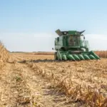 Milho fortalece economia de Mato Grosso e deve representar quase 26% do valor da produção agrícola em 2026