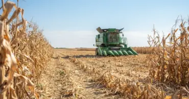 Colheitadeira realiza a colheita de milho em lavoura de Mato Grosso durante a safra 2025/26, impulsionando a produção agrícola do estado.