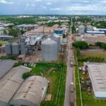 Hoje a indústria já emprega mais de 211 mil pessoas em Mato Grosso.