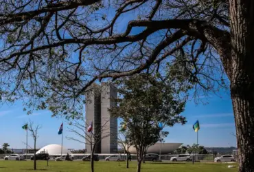 Pix é aprovado pelo Senado para automatizar pagamento de pensão alimentícia
