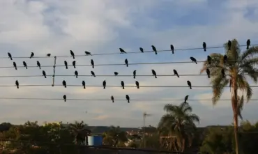 Fotografia inspira campanha vencedora do Leão de Ouro após 17 anos