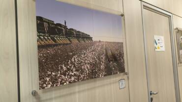 Fotógrafa de Lucas do Rio Verde ganha projeção nacional ao retratar o agro e transformar arte em instrumento de conscientização