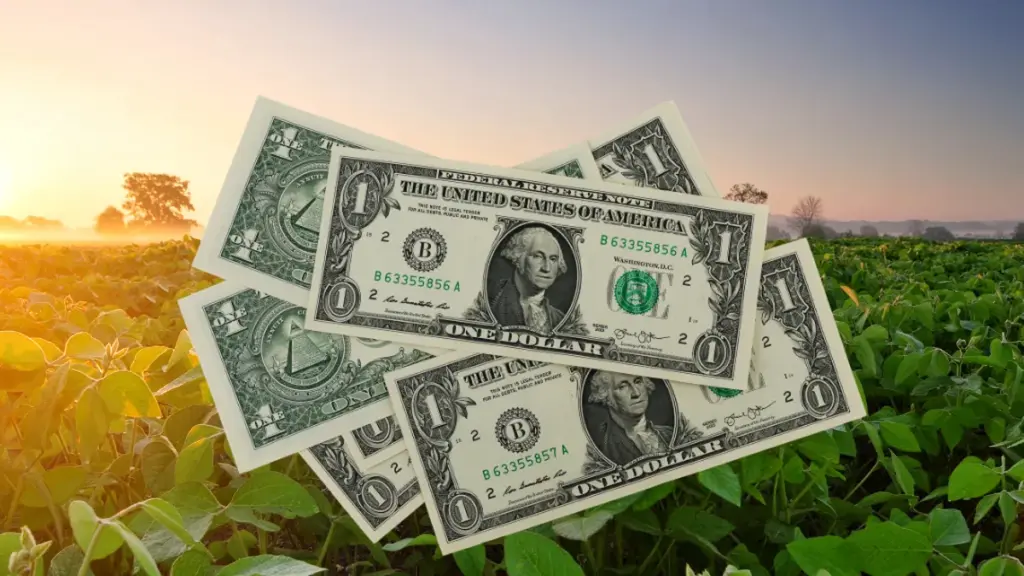 Dólar volta a subir e mercado reage com expectativa sobre juros nos Estados Unidos
