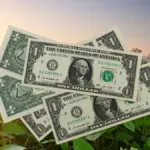 Dólar volta a subir e mercado reage com expectativa sobre juros nos Estados Unidos
