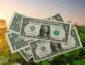 Dólar volta a subir e mercado reage com expectativa sobre juros nos Estados Unidos