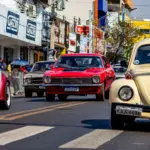 Barra do Garças vira capital do antigomobilismo com exposição de carros clássicos em agosto