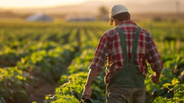 Reforma Tributária muda rotina no campo e já exige novo cadastro de produtores em MT