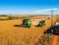 Mato Grosso consolida liderança nacional e deve colher 109,1 milhões de toneladas de grãos na safra 2025/2026