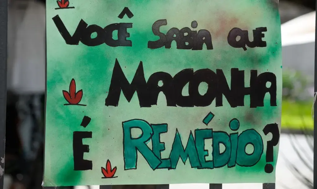 Cannabis reúne especialistas em simpósio na Assembleia do Ceará