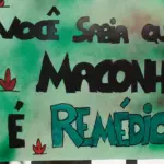 Cannabis reúne especialistas em simpósio na Assembleia do Ceará