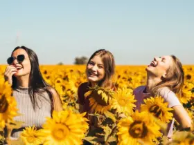 Áries: 3 coisas essenciais para encontrar a felicidade