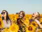 Áries: 3 coisas essenciais para encontrar a felicidade