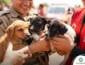 Polícia Militar resgata três filhotes de cães abandonados em cercado sem água e comida em Barra do Garças