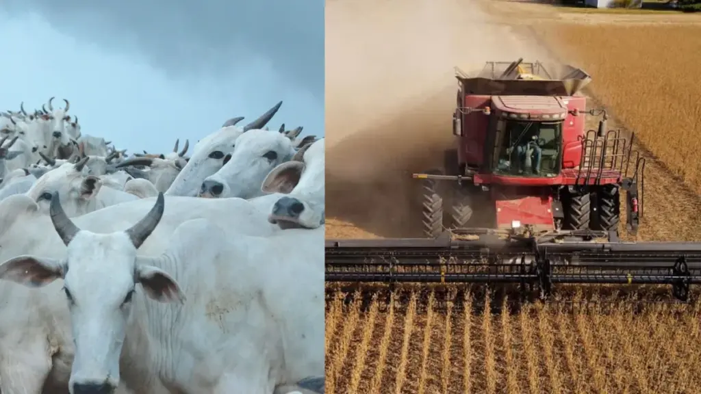 Gigante agro