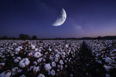 Lua Crescente no céu: O que muda com a nova fase lunar desta terça (21)?