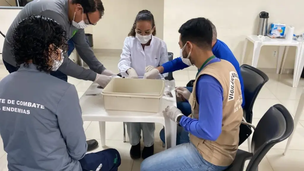 Alerta Sanitário: Agentes de 13 municípios de Mato Grosso participam de força-tarefa contra doenças transmitidas por caramujos