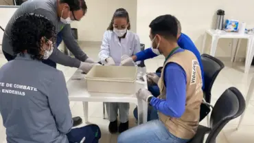 Manejo de gastrópodes