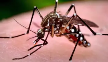 Secretaria de Saúde investiga duas mortes por suspeita de dengue e reforça alerta para prevenção durante a estiagem em Lucas do Rio Verde