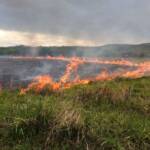 Acrimat alerta pecuaristas sobre início do período proibitivo do uso do fogo em Mato Grosso